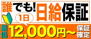 保証12,000円